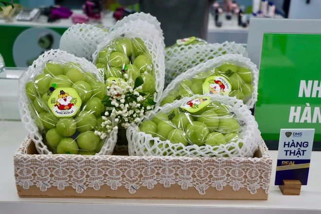 Hanoi exhibition showcases 500 genuine vs. counterfeit products to raise consumer awareness - Ảnh 4.