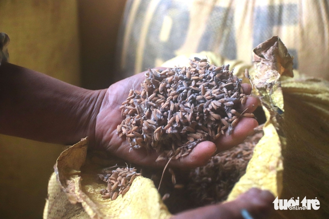 Rice traders in Da Nang struggle after last week’s floods as new heavy rains hit- Ảnh 5.