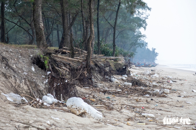 Vietnam $3.2mn coastal seawall collapses before use, repairs proposed - Ảnh 5.