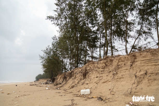 Vietnam $3.2mn coastal seawall collapses before use, repairs proposed - Ảnh 6.