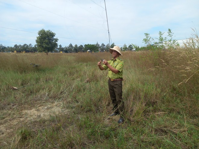 chim cảnh - Ảnh 4.