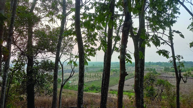 a - Ảnh 7.
