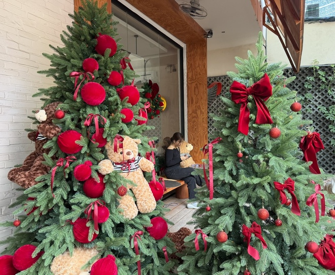 Gợi ý những điểm check-in Giáng sinh nổi bật tại TP.HCM- Ảnh 7.