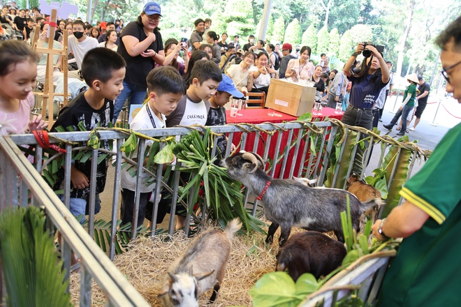 Thảo cầm viên họp mặt fan Mika và những idol Zoobiz- Ảnh 13. Thảo cầm viên họp mặt fan Mika và những idol Zoobiz- Ảnh 13.