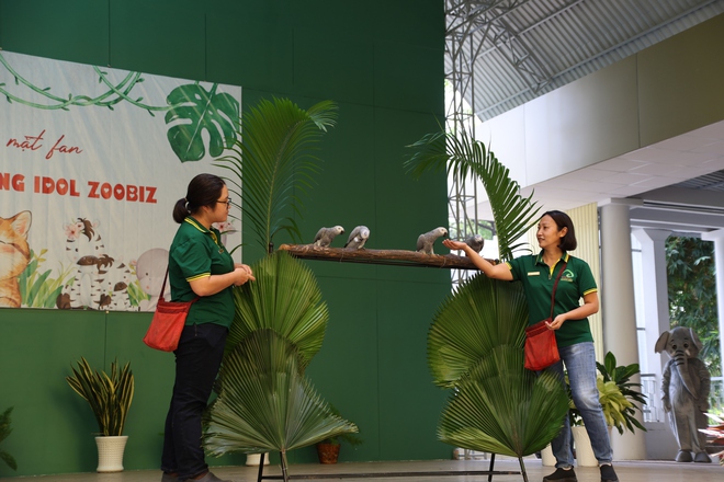 Thảo cầm viên họp mặt fan Mika và những idol Zoobiz- Ảnh 15. Thảo cầm viên họp mặt fan Mika và những idol Zoobiz- Ảnh 15.