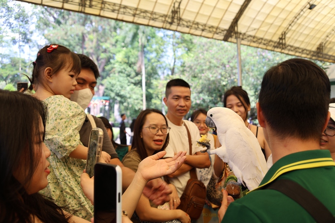 Thảo cầm viên họp mặt fan Mika và những idol Zoobiz- Ảnh 11. Thảo cầm viên họp mặt fan Mika và những idol Zoobiz- Ảnh 11.