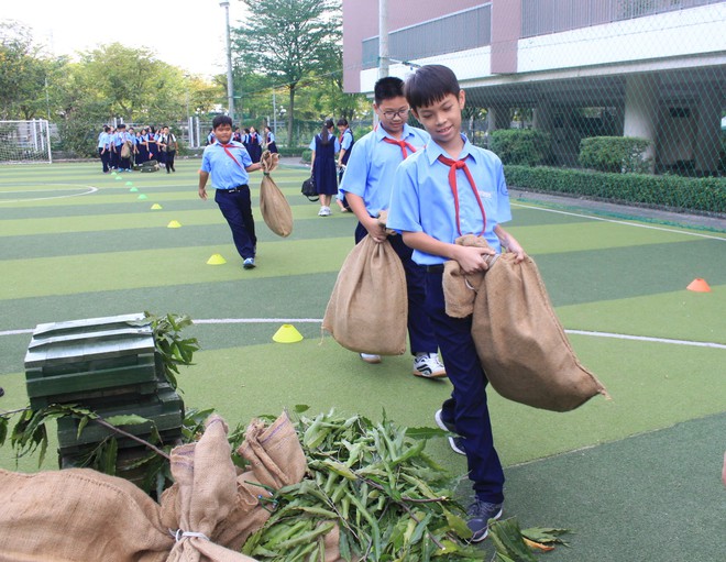 Phát động đợt hoạt động cao điểm Em là chiến sĩ Giải phóng quân Thành phố Bác Hồ- Ảnh 10.