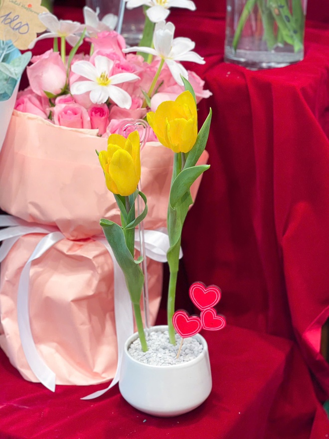 3 địa điểm mua hoa tulip tại TP.HCM - loài hoa bất ngờ gây sốt dịp Valentine- Ảnh 3.