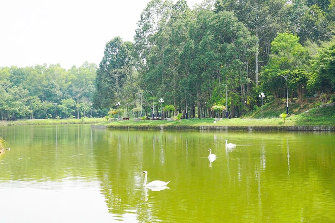 Địa đạo Củ Chi vừa ra mắt những hoạt động vui chơi, giải trí hấp dẫn này- Ảnh 4.
