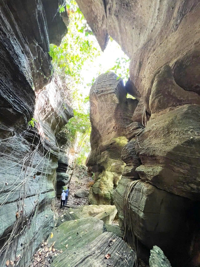 Da Nang’s 530-million-year-old cave complex receives heritage status- Ảnh 3. Da Nang’s 530-million-year-old cave complex receives heritage status- Ảnh 3.