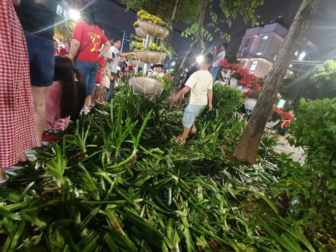 diễu binh - Ảnh 5.