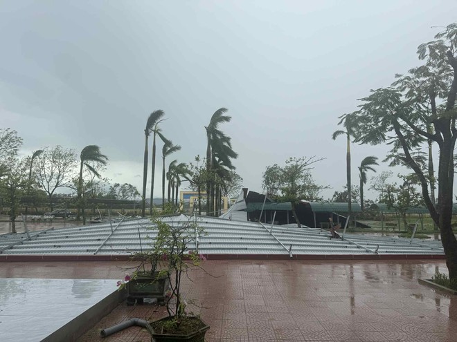 Trường học ở Hà Tĩnh, Thanh Hóa tan hoang do bão Bualoi- Ảnh 6. Trường học ở Hà Tĩnh, Thanh Hóa tan hoang do bão Bualoi- Ảnh 6.