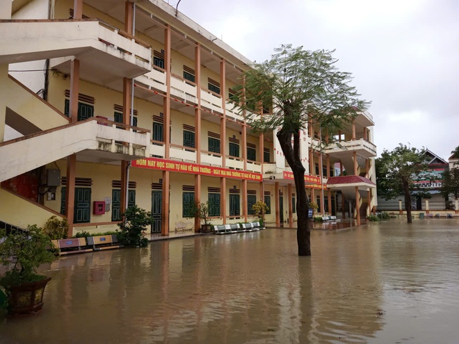 Trường học ở Hà Tĩnh, Thanh Hóa tan hoang do bão Bualoi- Ảnh 14. Trường học ở Hà Tĩnh, Thanh Hóa tan hoang do bão Bualoi- Ảnh 14.