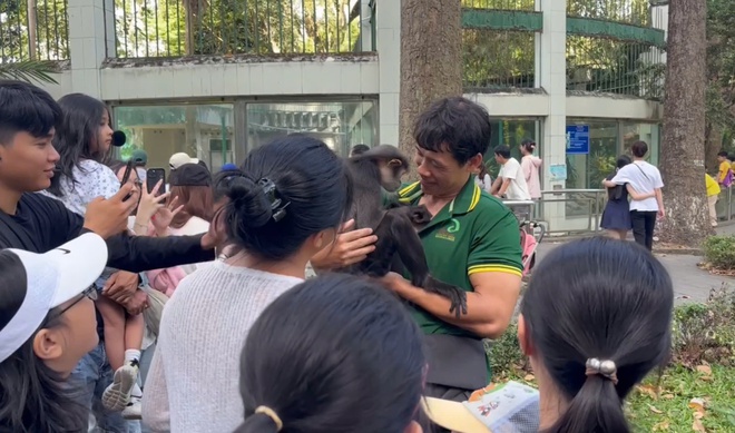 Thảo Cầm Viên tổ chức giao lưu thú viên vào mỗi cuối tuần - Ảnh 2.