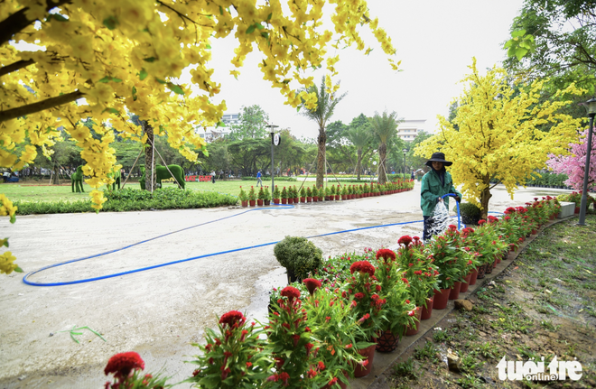 Long-abandoned land in downtown Ho Chi Minh City transformed into flower-filled park
- Ảnh 9.