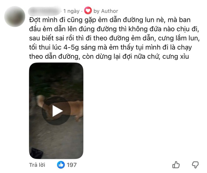 Chú chó vàng 5 sao trên Google Maps và câu chuyện về người dẫn đường đặc biệt- Ảnh 3.