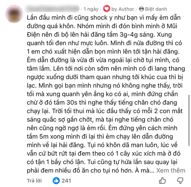Chú chó vàng 5 sao trên Google Maps và câu chuyện về người dẫn đường đặc biệt- Ảnh 4.