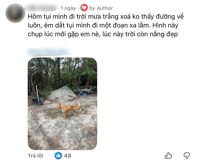 Chú chó vàng 5 sao trên Google Maps và câu chuyện về người dẫn đường đặc biệt- Ảnh 5.