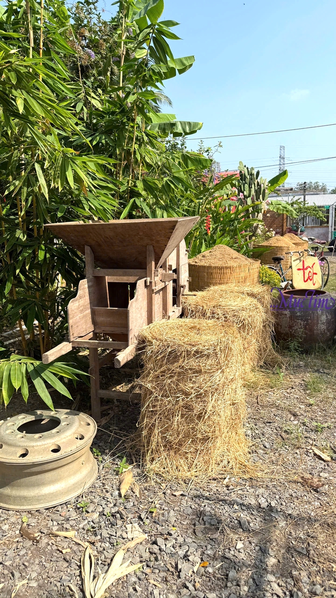 Rực rỡ vườn hoa Mãn Đình Hồng tỉnh Đồng Tháp - Ảnh 5.