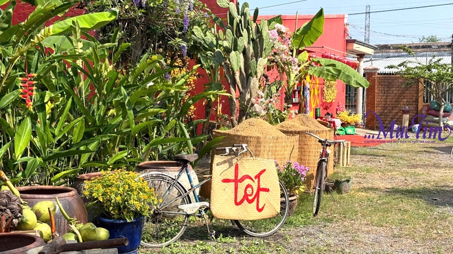 Rực rỡ vườn hoa Mãn Đình Hồng tỉnh Đồng Tháp - Ảnh 6.