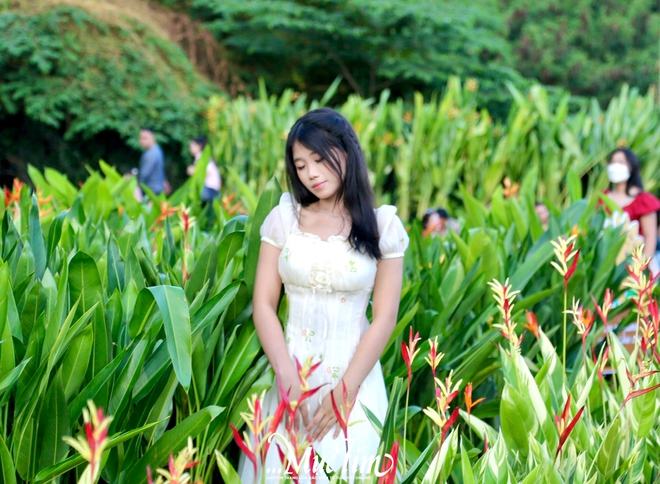 Đông đảo bạn trẻ ghé vườn hoa ga Ba Son chụp ảnh Tết- Ảnh 8.