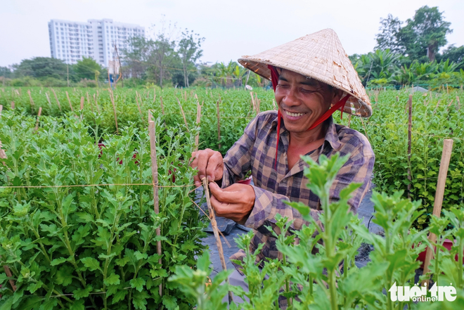 Ho Chi Minh City’s flower village bustles ahead of 2026 Lunar New Year
- Ảnh 7. Ho Chi Minh City’s flower village bustles ahead of 2026 Lunar New Year
- Ảnh 7.