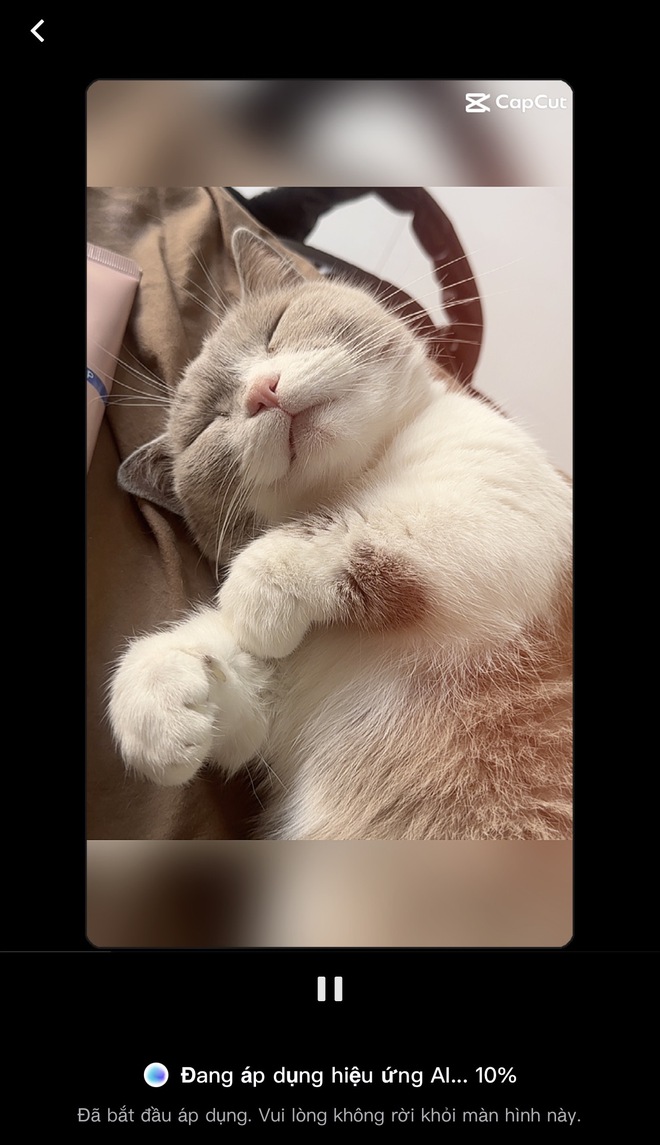 Trend tạo ảnh len bông phủ sóng TikTok, bạn đã thử chưa? - Ảnh 9.