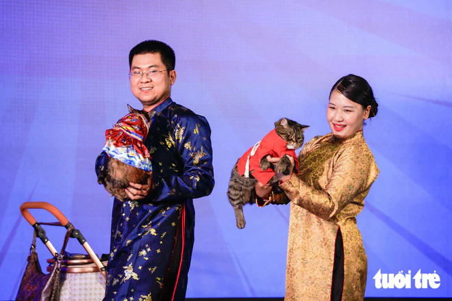 Cats, dogs steal the show in Halloween costumes in Ho Chi Minh City- Ảnh 10.