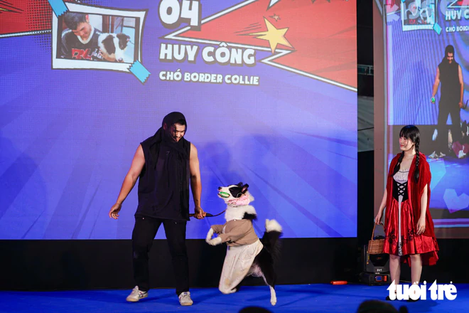 Cats, dogs steal the show in Halloween costumes in Ho Chi Minh City- Ảnh 12.