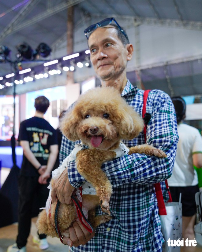 Cats, dogs steal the show in Halloween costumes in Ho Chi Minh City- Ảnh 8.
