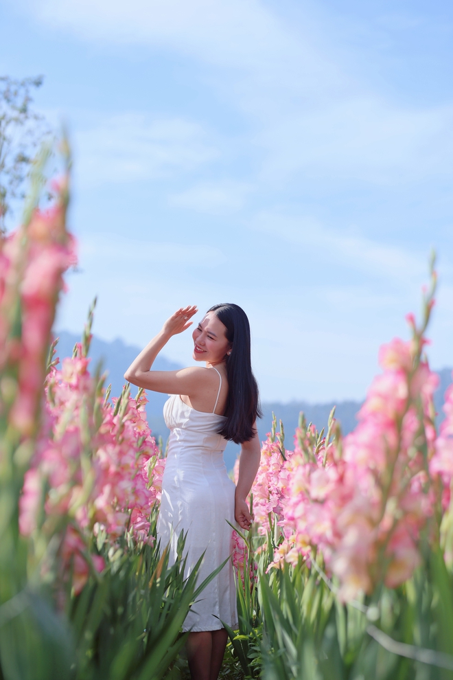 Cánh đồng hoa lay ơn Đà Lạt nở rộ, dân tình rủ nhau đến check-in- Ảnh 4.