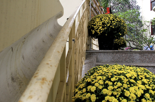 French villa set to become cultural, tourism landmark in Da Nang - Ảnh 7.