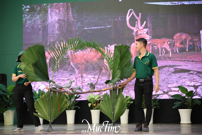 Mừng sinh nhật 162 năm Thảo cầm viên, “fan cứng” hào hứng lên đồ trẩy hội- Ảnh 7. Mừng sinh nhật 162 năm Thảo cầm viên, “fan cứng” hào hứng lên đồ trẩy hội- Ảnh 7.