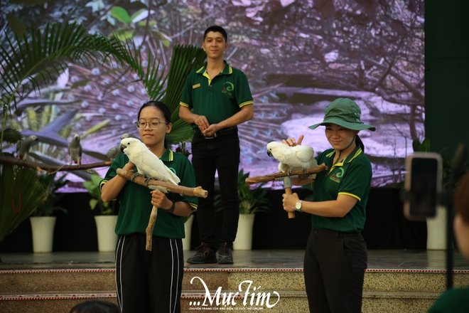 Mừng sinh nhật 162 năm Thảo cầm viên, “fan cứng” hào hứng lên đồ trẩy hội- Ảnh 8. Mừng sinh nhật 162 năm Thảo cầm viên, “fan cứng” hào hứng lên đồ trẩy hội- Ảnh 8.