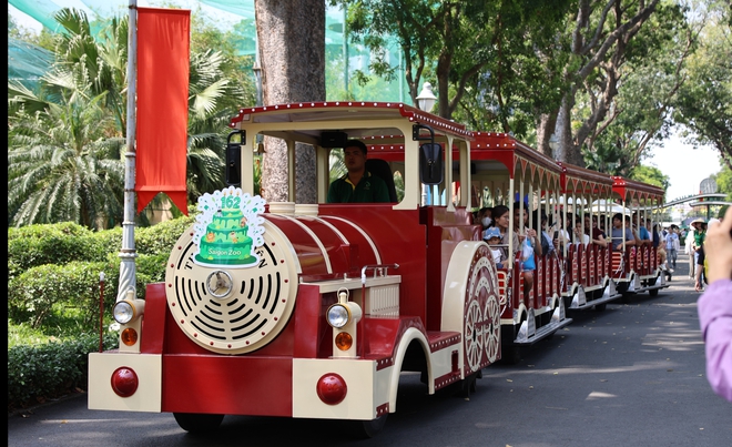 Mừng sinh nhật 162 năm Thảo cầm viên, “fan cứng” hào hứng lên đồ trẩy hội- Ảnh 12. Mừng sinh nhật 162 năm Thảo cầm viên, “fan cứng” hào hứng lên đồ trẩy hội- Ảnh 12.