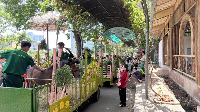 Mừng sinh nhật 162 năm Thảo cầm viên, “fan cứng” hào hứng lên đồ trẩy hội- Ảnh 15. Mừng sinh nhật 162 năm Thảo cầm viên, “fan cứng” hào hứng lên đồ trẩy hội- Ảnh 15.