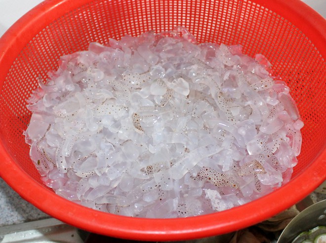 Sứa - Ảnh 3.
