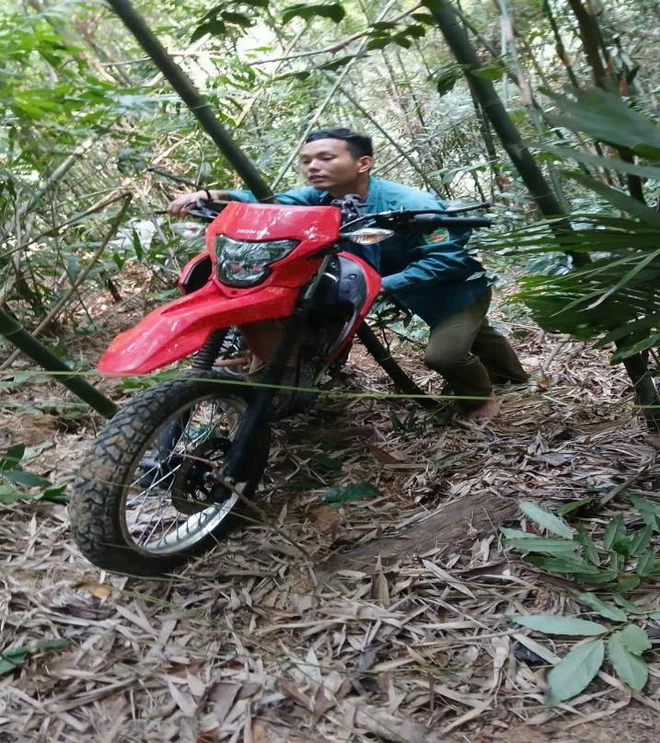 Foreign tourist rescued after getting lost in northern Vietnam forest- Ảnh 2. Foreign tourist rescued after getting lost in northern Vietnam forest- Ảnh 2.