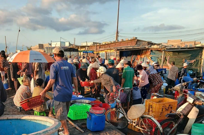 Vibrant life at Lien Huong Fishing Port in Vietnam- Ảnh 9.