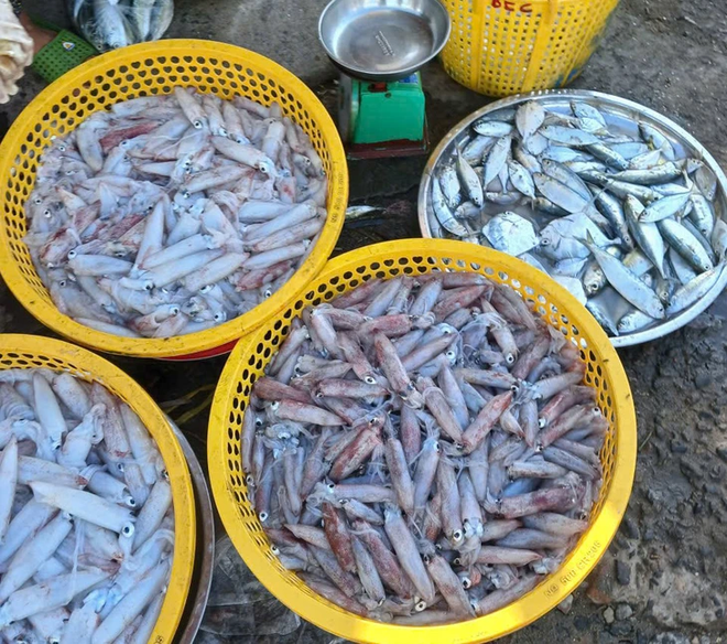 Vibrant life at Lien Huong Fishing Port in Vietnam- Ảnh 11.