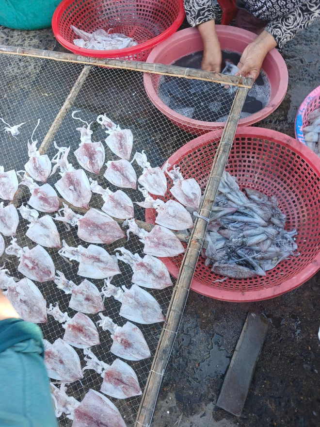 Vibrant life at Lien Huong Fishing Port in Vietnam- Ảnh 12.