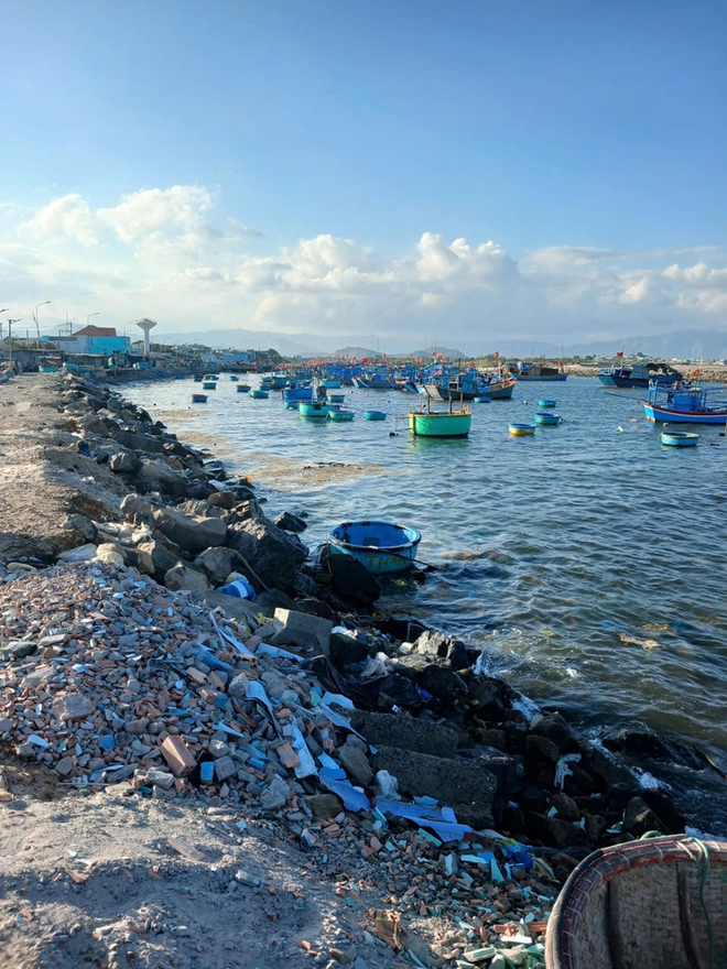 Vibrant life at Lien Huong Fishing Port in Vietnam- Ảnh 15.
