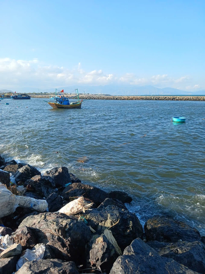 Vibrant life at Lien Huong Fishing Port in Vietnam- Ảnh 17.