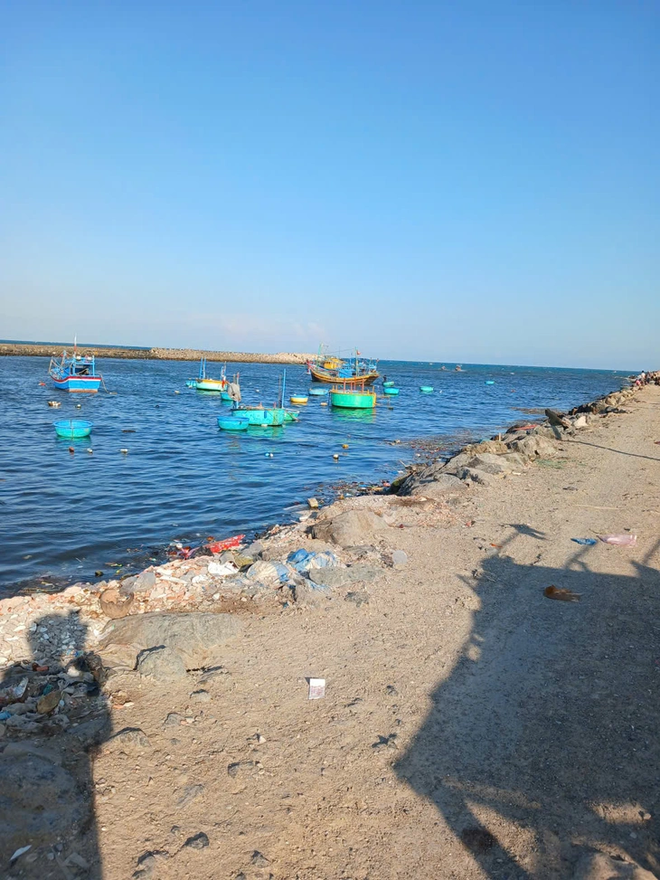 Vibrant life at Lien Huong Fishing Port in Vietnam- Ảnh 18.