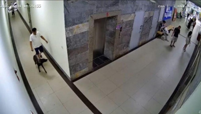 Hanoi apartment resident allegedly assaults owners’ committee member over dog muzzle dispute - Ảnh 2.