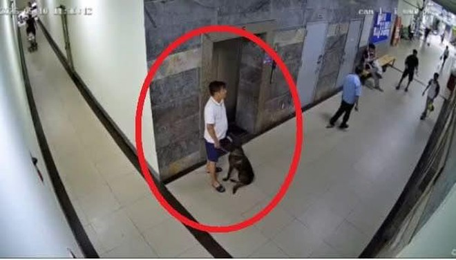 Hanoi apartment resident allegedly assaults owners’ committee member over dog muzzle dispute - Ảnh 3.