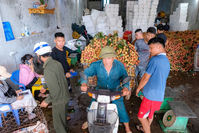 vải thiều - Ảnh 10.