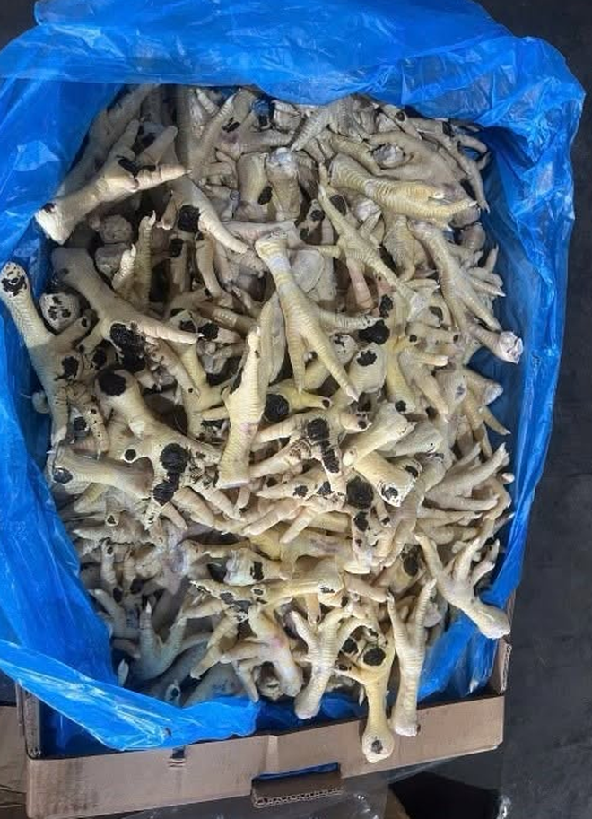 Hanoi police arrest firm director over distribution of 10,000 tonnes of unsafe chicken feet- Ảnh 4. Hanoi police arrest firm director over distribution of 10,000 tonnes of unsafe chicken feet- Ảnh 4.