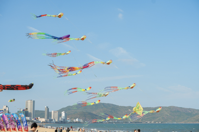Giant kites fill Quy Nhon sky in south-central Vietnam- Ảnh 3.