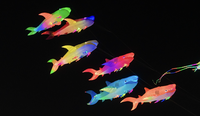 Giant kites fill Quy Nhon sky in south-central Vietnam- Ảnh 6.